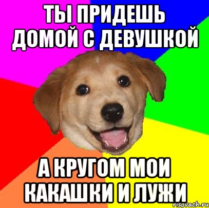 ты придешь домой с девушкой а кругом мои какашки и лужи, Мем Advice Dog