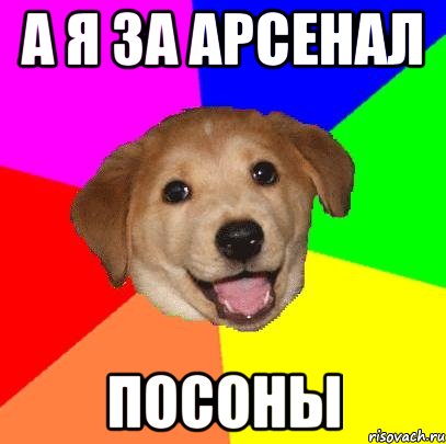 а я за арсенал посоны, Мем Advice Dog