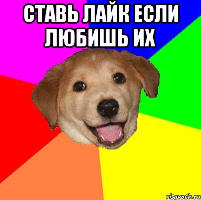 ставь лайк если любишь их , Мем Advice Dog