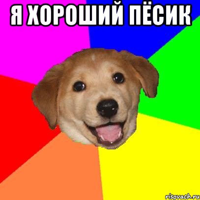 я хороший пёсик , Мем Advice Dog