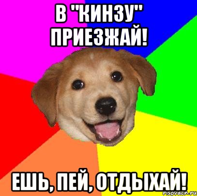 в "кинзу" приезжай! ешь, пей, отдыхай!, Мем Advice Dog