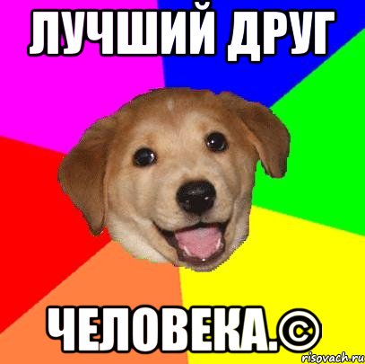 лучший друг человека.©, Мем Advice Dog