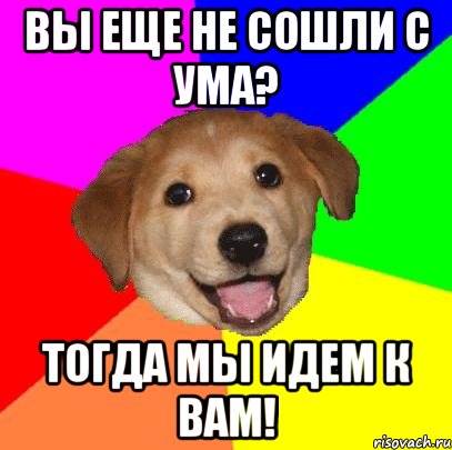 вы еще не сошли с ума? тогда мы идем к вам!, Мем Advice Dog