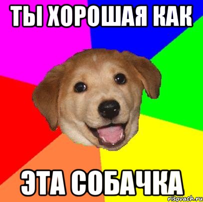 ты хорошая как эта собачка, Мем Advice Dog