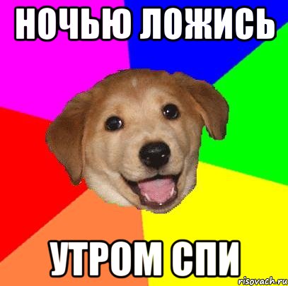 ночью ложись утром спи, Мем Advice Dog