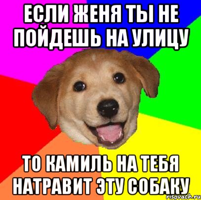 если женя ты не пойдешь на улицу то камиль на тебя натравит эту собаку, Мем Advice Dog