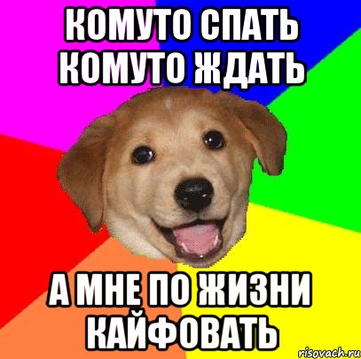 комуто спать комуто ждать а мне по жизни кайфовать, Мем Advice Dog