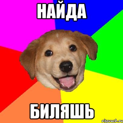 найда биляшь, Мем Advice Dog