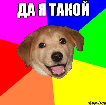 да я такой , Мем Advice Dog