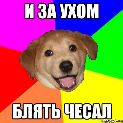 и за ухом блять чесал, Мем Advice Dog