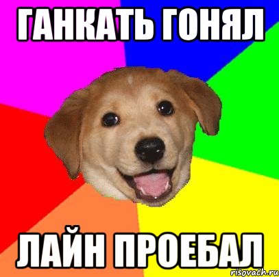 ганкать гонял лайн проебал, Мем Advice Dog