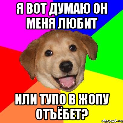 я вот думаю он меня любит или тупо в жопу отъёбет?, Мем Advice Dog