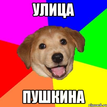 улица пушкина, Мем Advice Dog