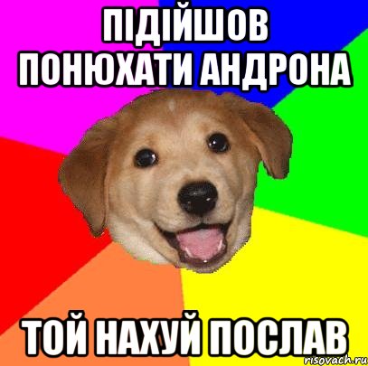 Підійшов понюхати андрона Той нахуй послав, Мем Advice Dog