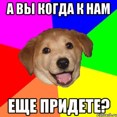 а вы когда к нам еще придете?, Мем Advice Dog