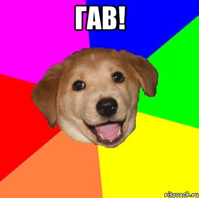 ГАВ! , Мем Advice Dog