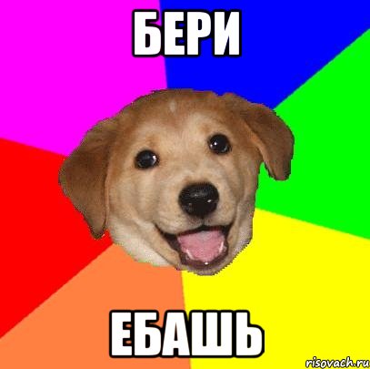 БЕРИ ЕБАШЬ, Мем Advice Dog