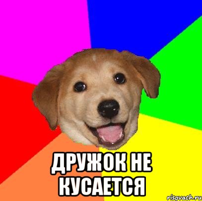  ДРУЖОК НЕ КУСАЕТСЯ, Мем Advice Dog