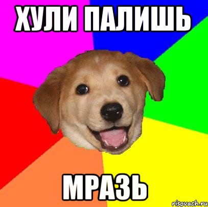 ХУЛИ ПАЛИШЬ МРАЗЬ, Мем Advice Dog