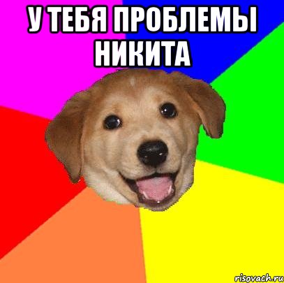 У тебя проблемы никита , Мем Advice Dog