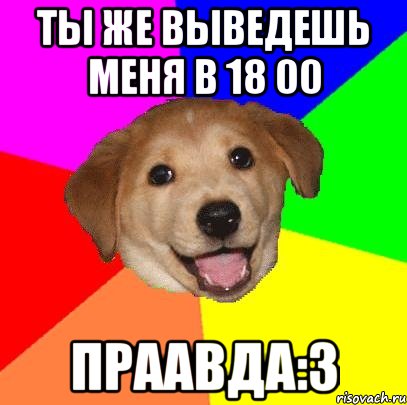 ты же выведешь меня в 18 00 праавда:3, Мем Advice Dog