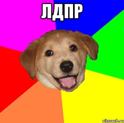 Лдпр , Мем Advice Dog