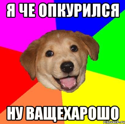 я че опкурился ну ващехарошо, Мем Advice Dog
