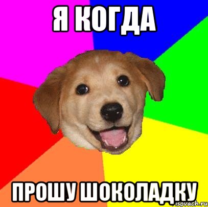 я когда прошу шоколадку, Мем Advice Dog