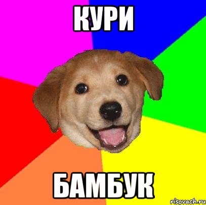 Кури Бамбук, Мем Advice Dog