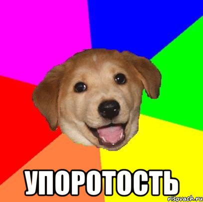  УПОРОТОСТЬ, Мем Advice Dog