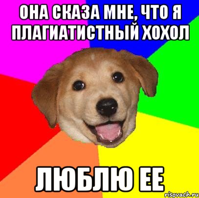 Она сказа мне, что я плагиатистный хохол Люблю ее, Мем Advice Dog