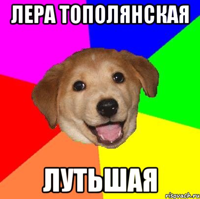 лера тополянская лутьшая, Мем Advice Dog