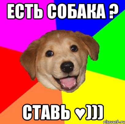 Есть собака ? Ставь ♥))), Мем Advice Dog