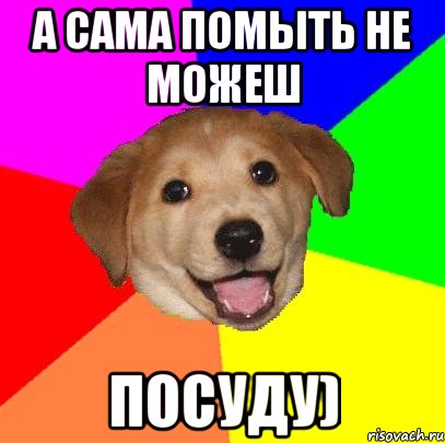 А сама помыть не можеш посуду), Мем Advice Dog