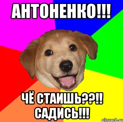 АНТОНЕНКО!!! ЧЁ СТАИШЬ??!! САДИСЬ!!!, Мем Advice Dog