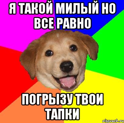 Я такой милый но все равно погрызу твои тапки, Мем Advice Dog