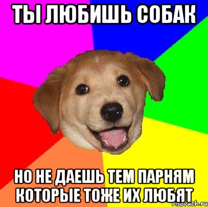 Ты любишь собак Но не даешь тем парням которые тоже их любят, Мем Advice Dog