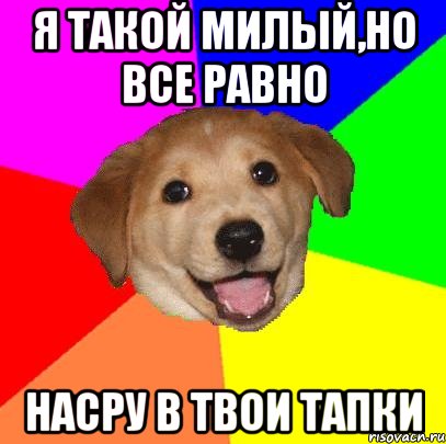 Я такой милый,но все равно насру в твои тапки, Мем Advice Dog