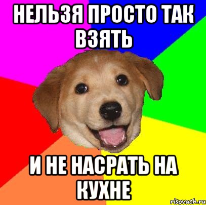 нельзя просто так взять и не насрать на кухне, Мем Advice Dog