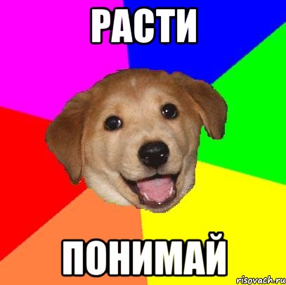 РАСТИ ПОНИМАЙ, Мем Advice Dog