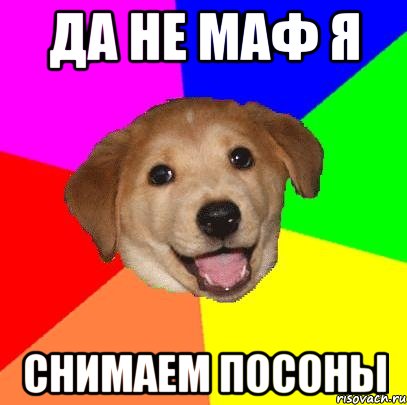 Да не маф я снимаем посоны, Мем Advice Dog