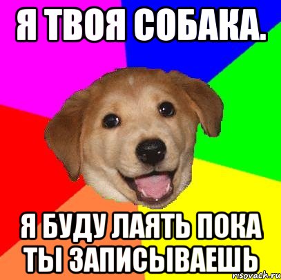 Я твоя собака. Я буду лаять пока ты записываешь, Мем Advice Dog