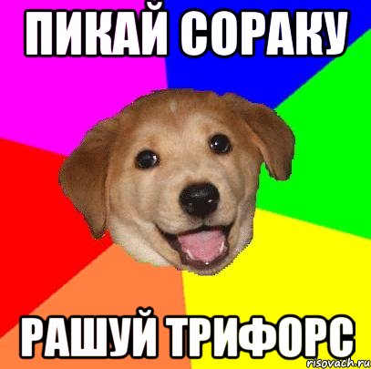 Пикай сораку рашуй трифорс, Мем Advice Dog