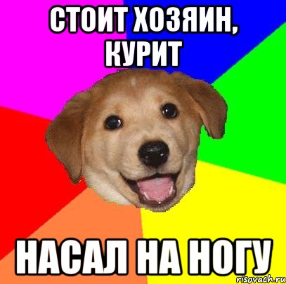 Стоит хозяин, курит Насал на ногу, Мем Advice Dog