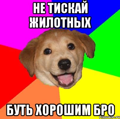 не тискай жилотных буть хорошим бро, Мем Advice Dog