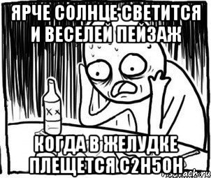 ярче солнце светится и веселей пейзаж когда в желудке плещется c2h5oh, Мем Алкоголик-кадр