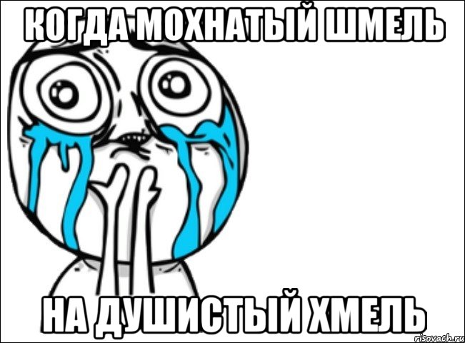 когда мохнатый шмель на душистый хмель, Мем Это самый