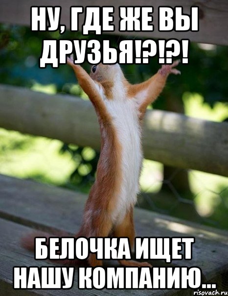 ну, где же вы друзья!?!?! белочка ищет нашу компанию..., Мем    белка молится