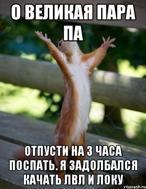 о великая пара па отпусти на 3 часа поспать. я задолбался качать лвл и локу, Мем    белка молится