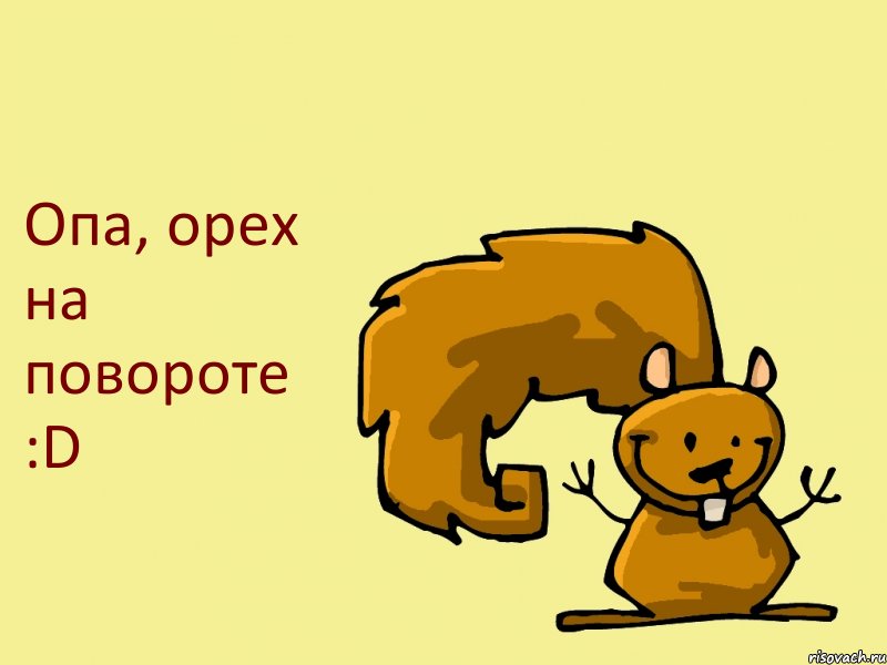 Опа, орех на повороте :D, Комикс  белка